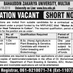 Bahauddin Zakariya University (BZU) Jobs 16 July 2019