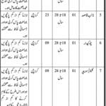 Board Of Intermediate And Education Jobs 19 Jul 2019