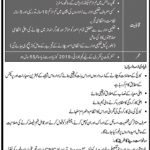 CAA Model School And College Jobs 07 Jul 2019