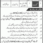 Cook Required In Commanding Officer 10 Signal Battalion Unit Karachi Jobs14 July 2019