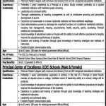 Daanish Schools Govt Of Punjab Jobs 06 Jul 2019