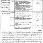 District And Session Court Battagram Jobs 22 Jul 2019