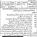 Excise And Taxation Department Jobs 12 Jul 2019