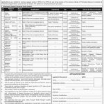 Fisheries Department Govt Of Sindh Jobs 11 Jul 2019