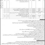 Health Department Govt Of Sindh Jobs 07 Jul 2019
