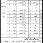 Health Department Govt Of Sindh Jobs 08 July 2019