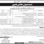 Irrigation Department Govt Of Sindh Jobs 08 July 2019