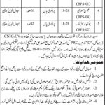 Irrigation Department Govt Of Sindh Jobs 10 Jul 2019