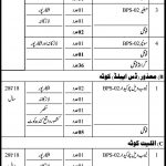 Irrigation Department Govt Of Sindh Jobs 21 Jul 2019