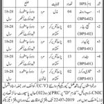 Irrigation Department Kohistan Jobs 07 Jul 2019