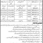 Irrigation Department Mirpur Khas Jobs 23 Jul 2019