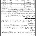 Irrigation Department Sindh Govt Jobs 08 July