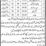 Irrigation Department Sukkur Jobs 28 Jul 2019