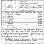 Labour And Human Resource Department Govt Of Sindh Jobs 11 Jul 2019