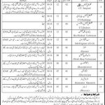 Nawaz Sharif Kidney Hospital Jobs 01 July 2019