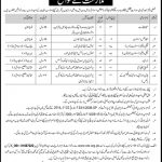 Population Welfare Department Jobs 02 Jul 2019
