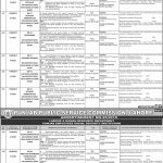 Punjab Public Service Commission PPSC Jobs 28 Jul 2019