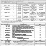 Punjab Worker Welfare Board Jobs 01 July 2019
