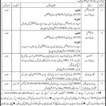 Shaheed Mohtarma Benazir Bhutto Institute Of Trauma Centre Jobs 15 Jul 2019