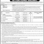 University Of Balochistan Quetta Jobs 31 Jul 2019