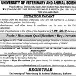 University Of Veterinary And Animal Sciences UVAS Jobs 18 Jul 2019