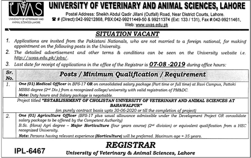 University Of Veterinary And Animal Sciences UVAS Jobs 18 Jul 2019 -  Prepistan Jobs