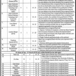 Bahawal Victoria Hospital Jobs 06 Aug 2019