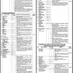 Bahawal Victoria Hospital Jobs 08 Aug 2019