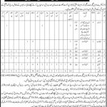 Culture Tourism And Antiquities Department Jobs 11 Aug 2019