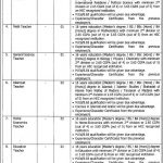 Daanish Schools Govt Of Punjab Jobs 28 Aug 2019
