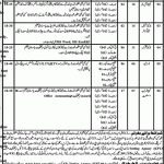 Directorate General Of Commerce And Management Science Jobs 01 Aug 2019