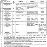 Energy Department Govt Of The Punjab Jobs 23 Aug 2019