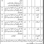 Govt Services Hospital Karachi Jobs 30 Aug 2019