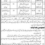 Irrigation Department Govt Of Sindh Jobs 06 Aug 2019