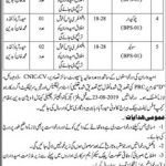 Irrigation Department Govt Of Sindh Jobs 24 Aug 2019