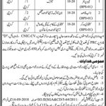 Irrigation Department Govt Of Sindh Jobs 30 Aug 2019