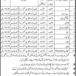 Irrigation Department Jaccobabad Jobs 07 Aug 2019