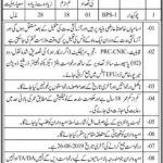 Irrigation Department Sindh Jobs 06 Aug 2019