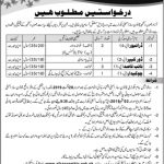 Legislative Assembly Azad Jammu And Kashmir Jobs 10 Aug 2019