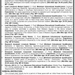 Local Govt And Community Development Department Jobs 27 Aug 2019