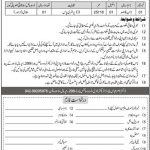 National History And Literary Heritage Division Jobs 11 Aug 2019