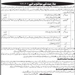 National Institute Of Banking And Finance Jobs 01 Aug 2019