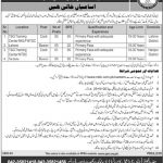 National Transmission And Despatch Company Limited Jobs 04 Aug 2019