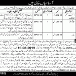 NTS Punjab Labour Court Jobs 02 Aug 2019