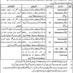 Punjab Food Authority Govt Of Punjab Jobs 07 Aug 2019