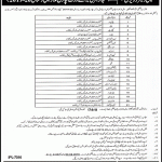 Small Dams Division Jhelum Jobs 03 Aug 2019