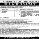 University Of The Punjab (PU) Jobs 28 Aug 2019