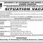 University Of Veterinary And Animal Sciences (UVAS) Jobs 22 Aug 2019