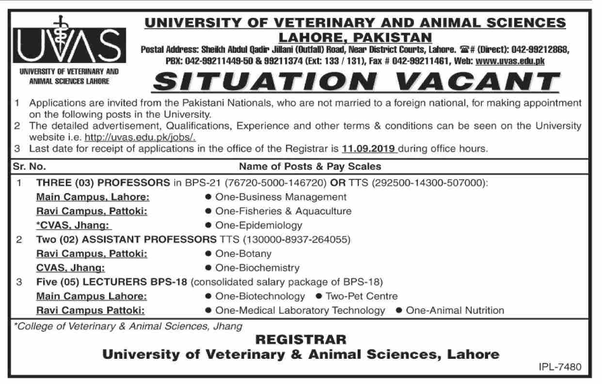 University of Veterinary and Animal Sciences (UVAS) jobs 2019