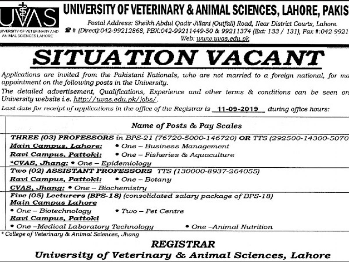 University Of Veterinary And Animal Sciences (UVAS) Jobs 23 Aug 2019 - Prepistan Jobs University Of Veterinary And Animal Sciences (UVAS) Jobs 23 Aug 2019 - Prepistan Jobs
